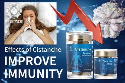 how to improve immunity
