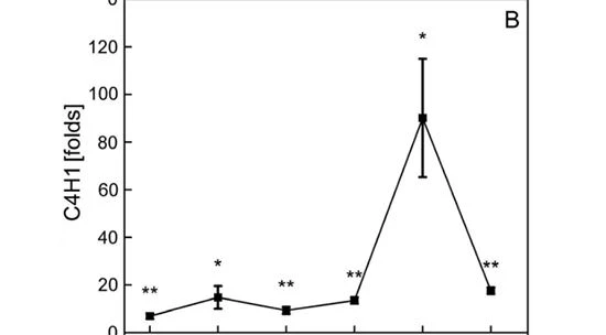 figure2-2