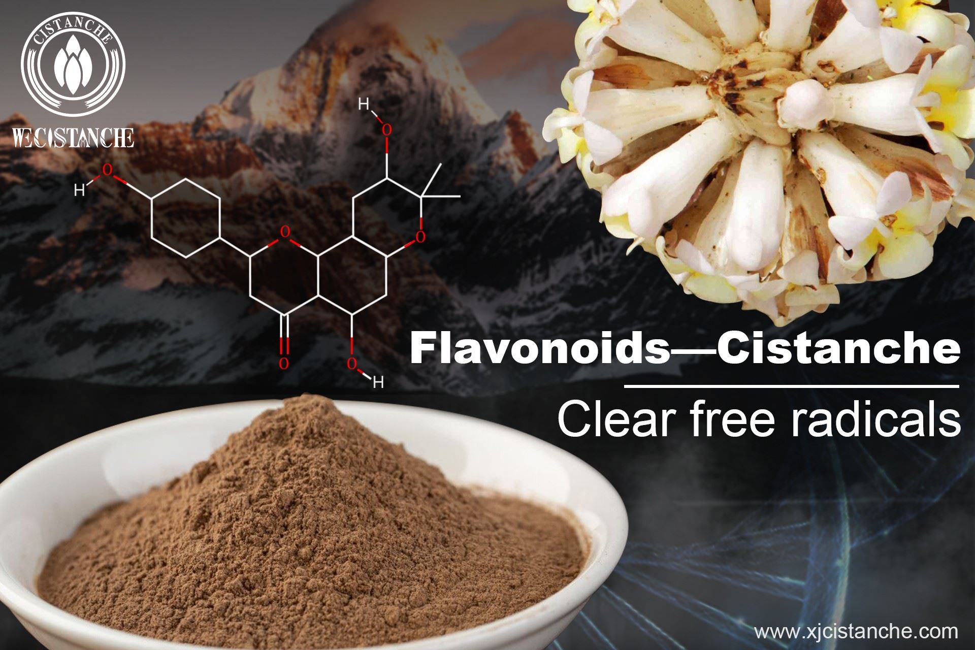 Flavonoids of Cistanche
