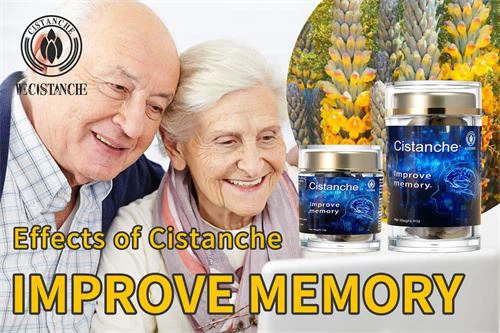cistanche supplement: improve memory function