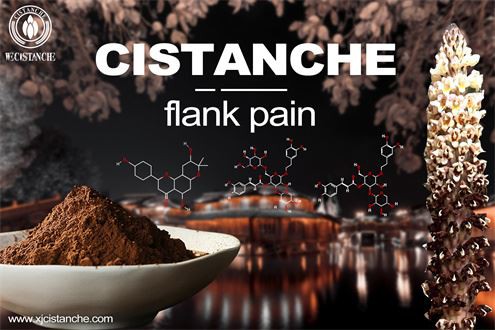 Effects of the CCR2 Antagonist on Diabetic Nephropathy