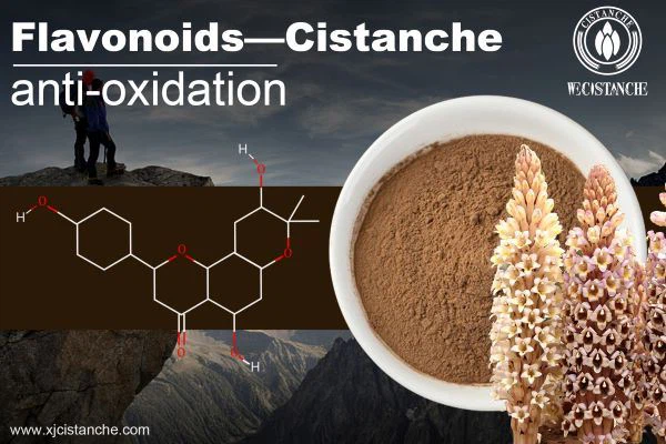 cistanche tubolosa health benefits: skin-whitening cistanche tubolosa health benefits: skin-whitening