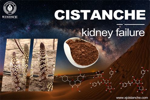 treatment of kidney failure