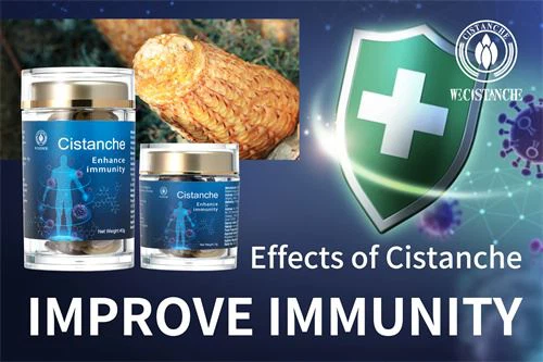 cistanche capsules