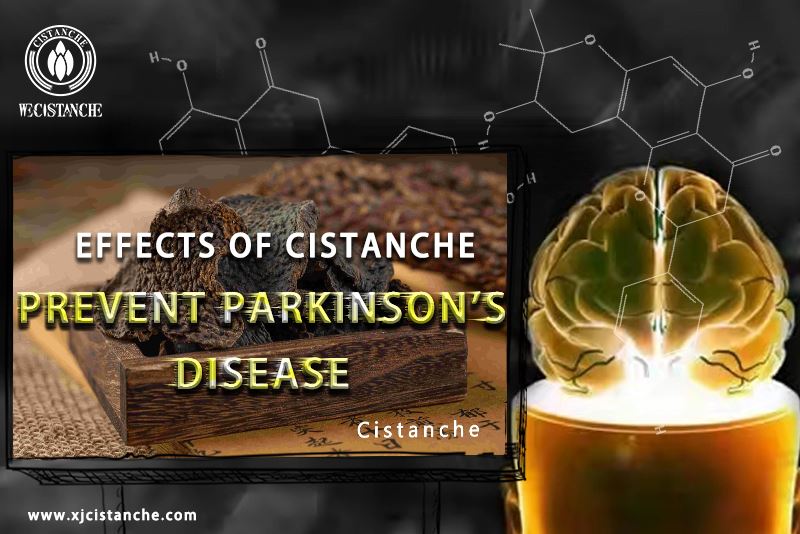 The way to prevent parkinson's disease