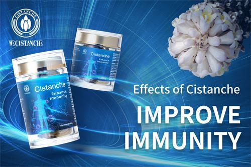 cistanche experience on immunity