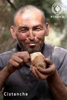 cistanche tubulosa benefit