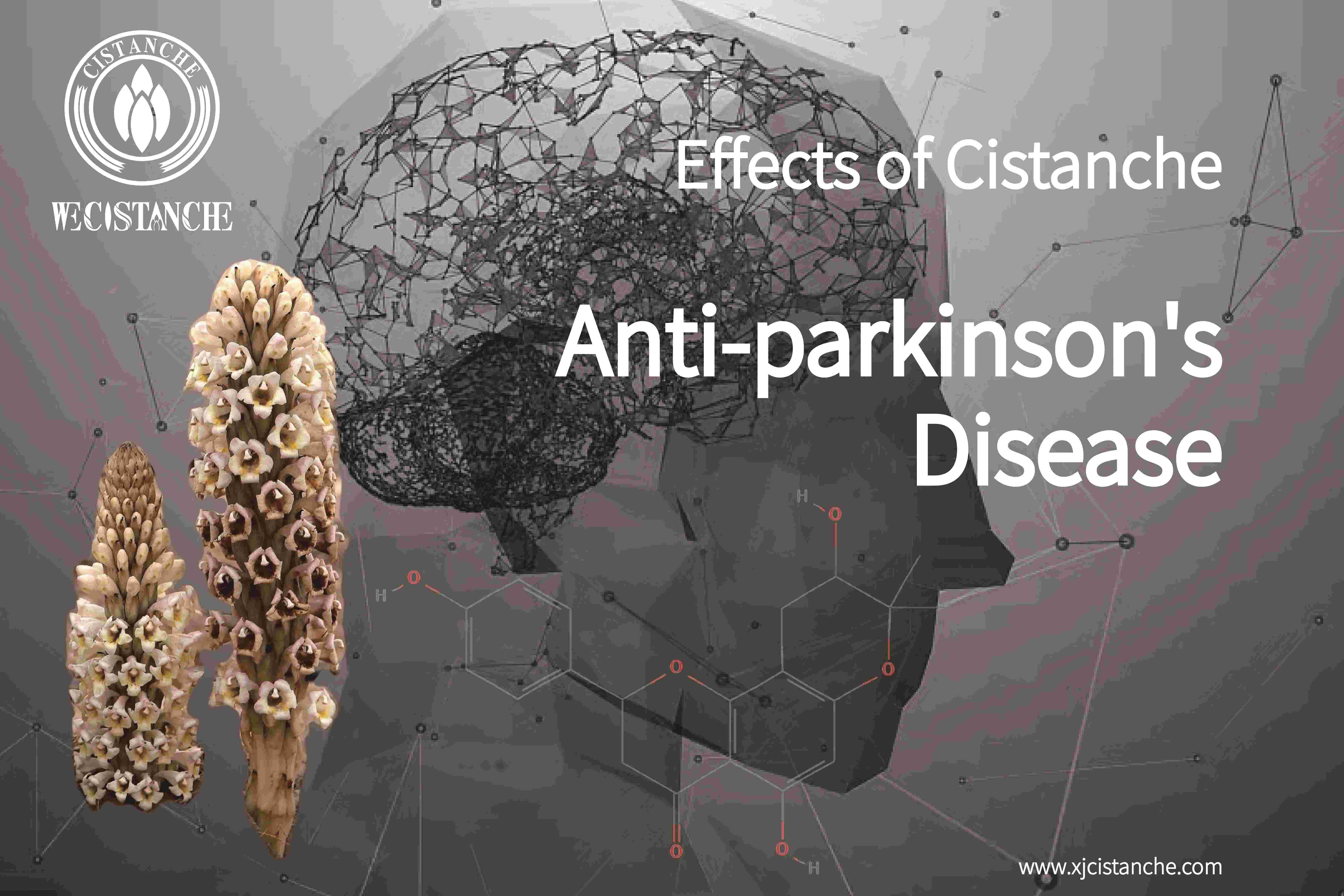 natural herb for parkinson's disease