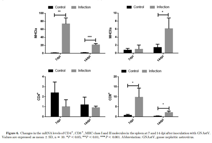 Changes in the mRNA levels of CD41, CD81, MHC class I and II molecules in the spleen at 7 and 14 dpi after inoculation with GNAstV. Values are expressed as mean 6 SD, n 5 10. *P , 0.05; **P , 0.01; ***P , 0.001. Abbreviation: GNAstV, goose nephritic astrovirus.