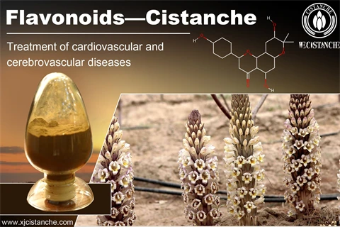 flavonoids supplements cardiovascular cerebrovasular