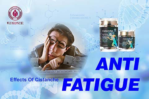 Cistanche antifatigue function (7)