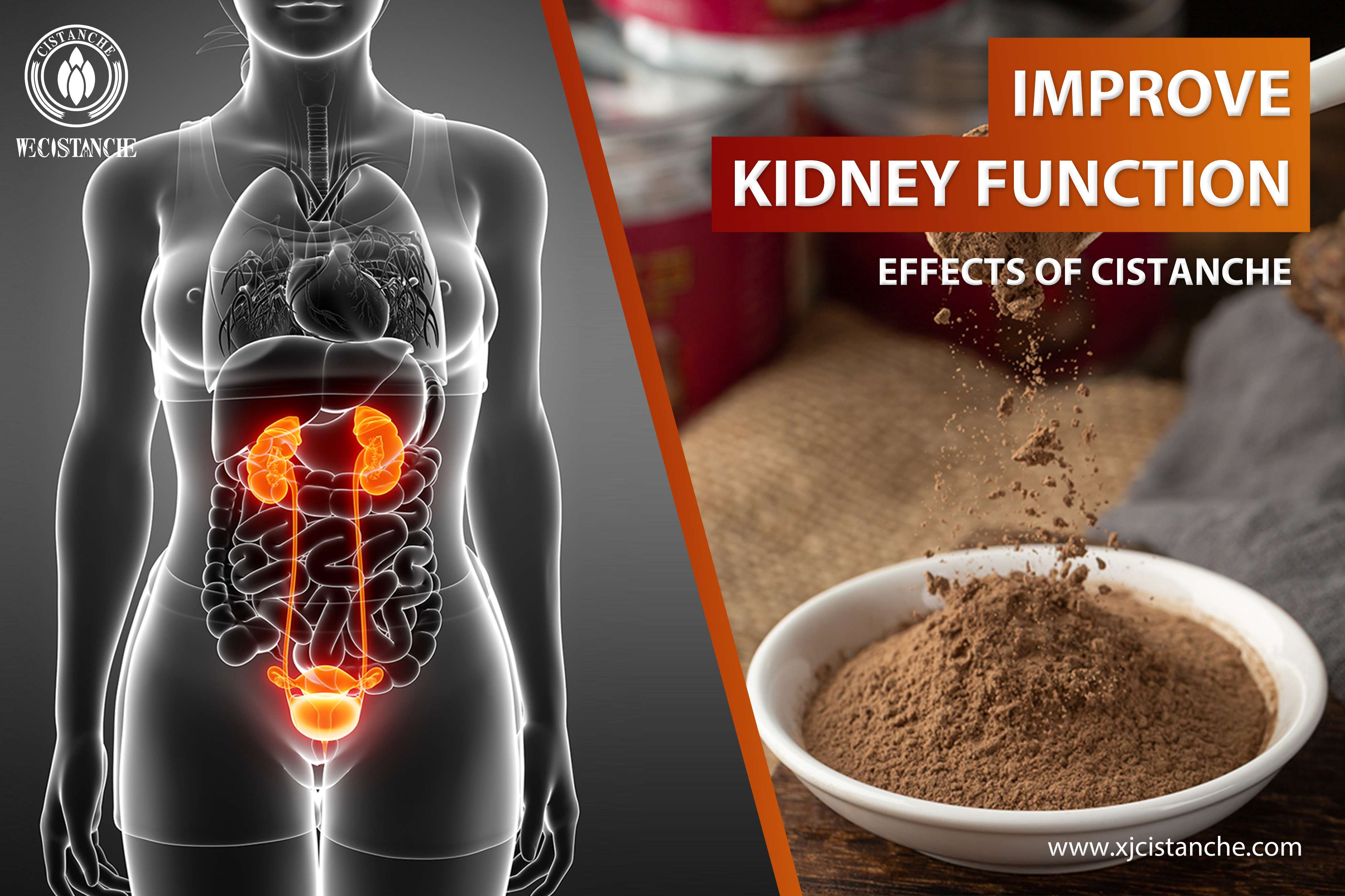 the best herb for kidney disease the best herb for kidney disease