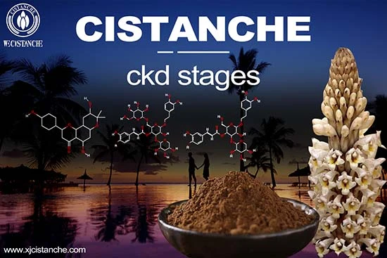 Cistanche-ckd stages-5(95)