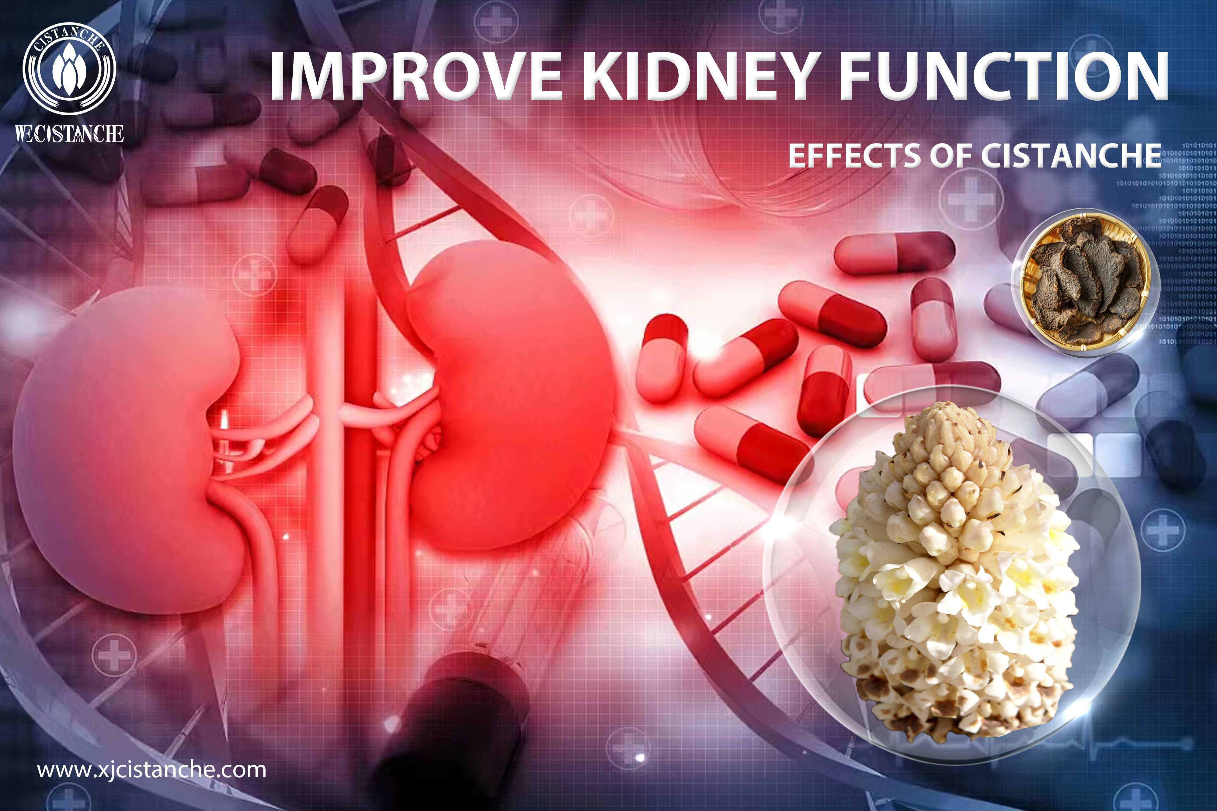 natural supplement for kidney
