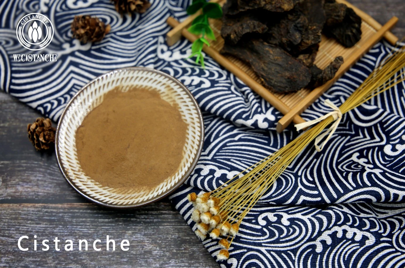 cistanche extract powder
