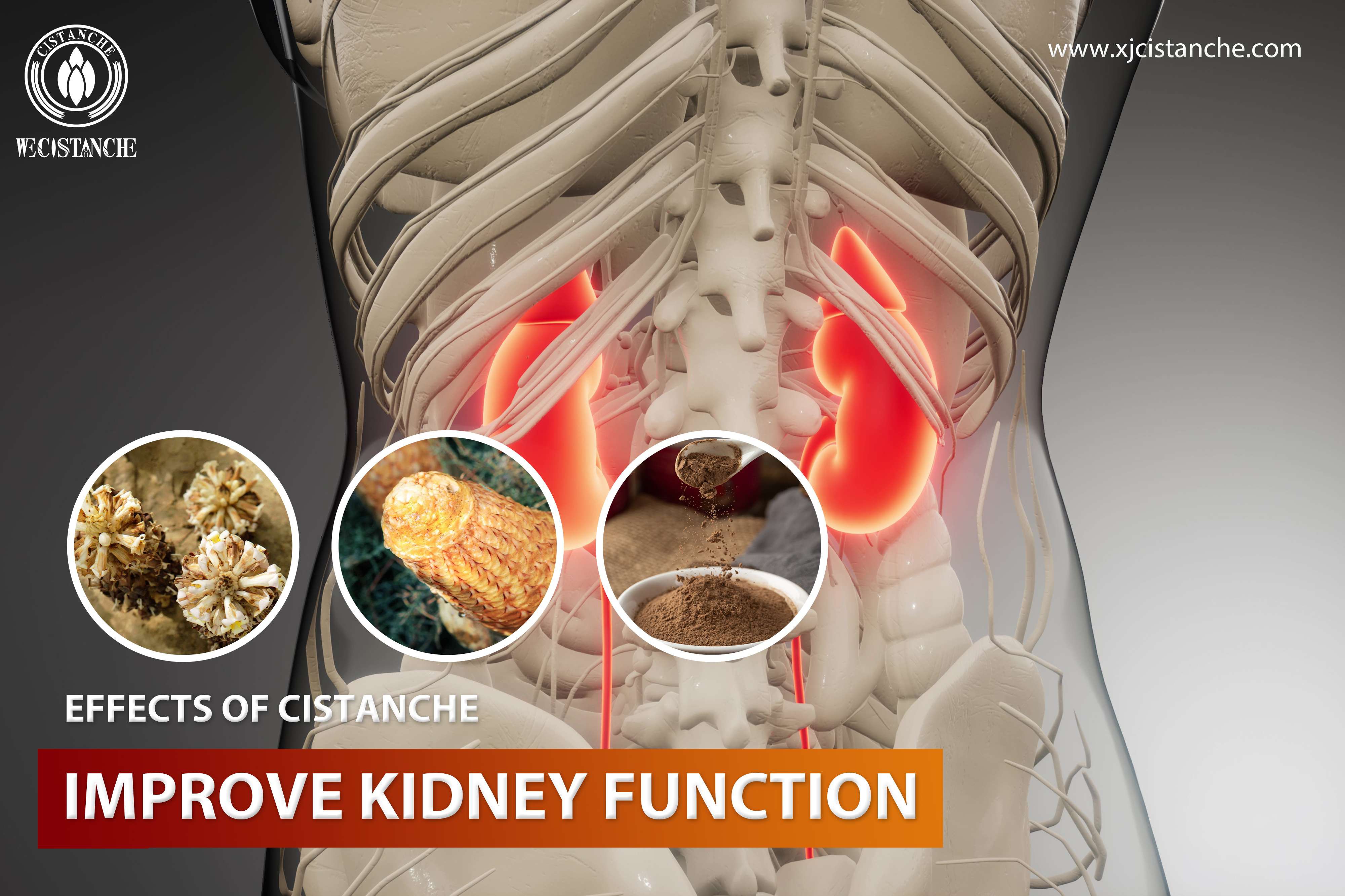 natural supplement ofr kidney disease