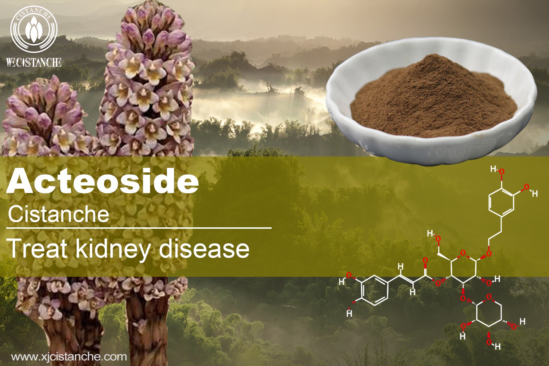 treatment for kidney disease treatment for kidney disease