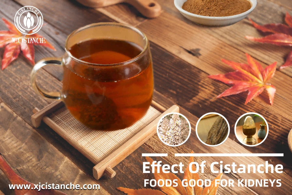 foods good for kidneys foods good for kidneys