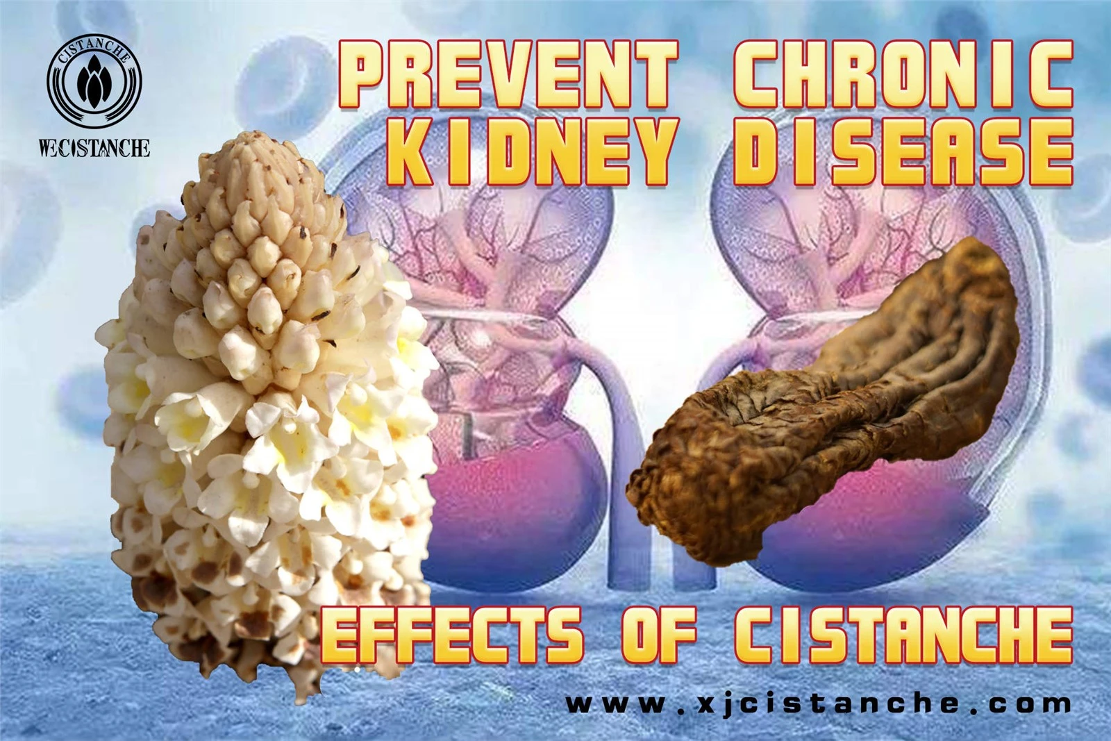 how to take cistanche