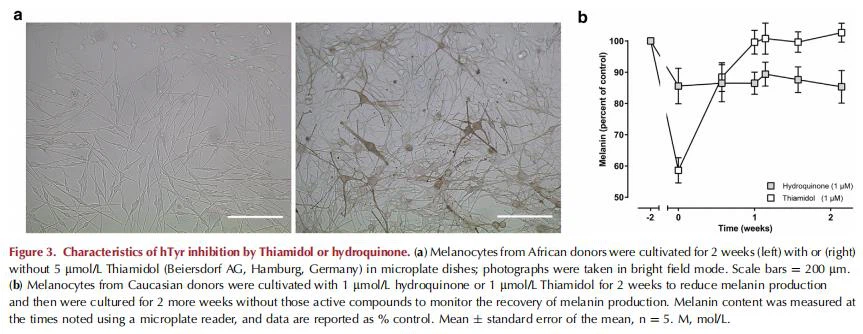 cistanche pros and cons