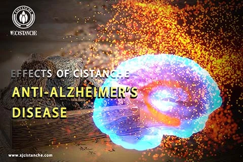 Anti Alzheimer's (2)