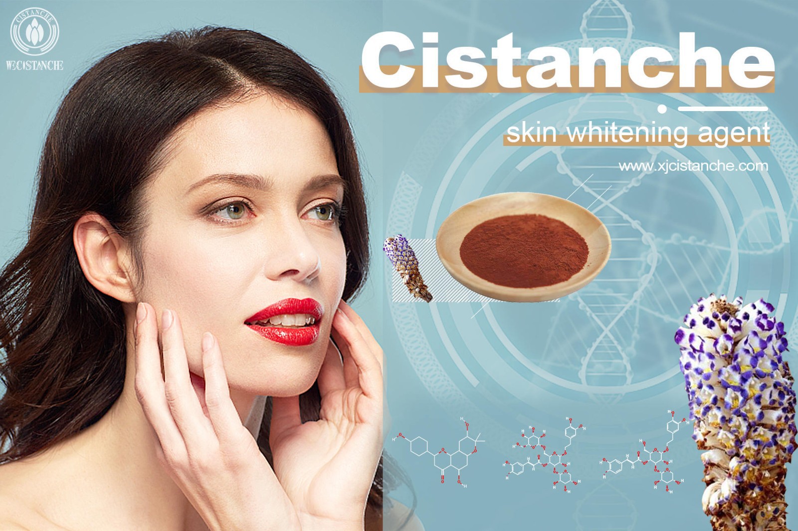 cistanche nedir