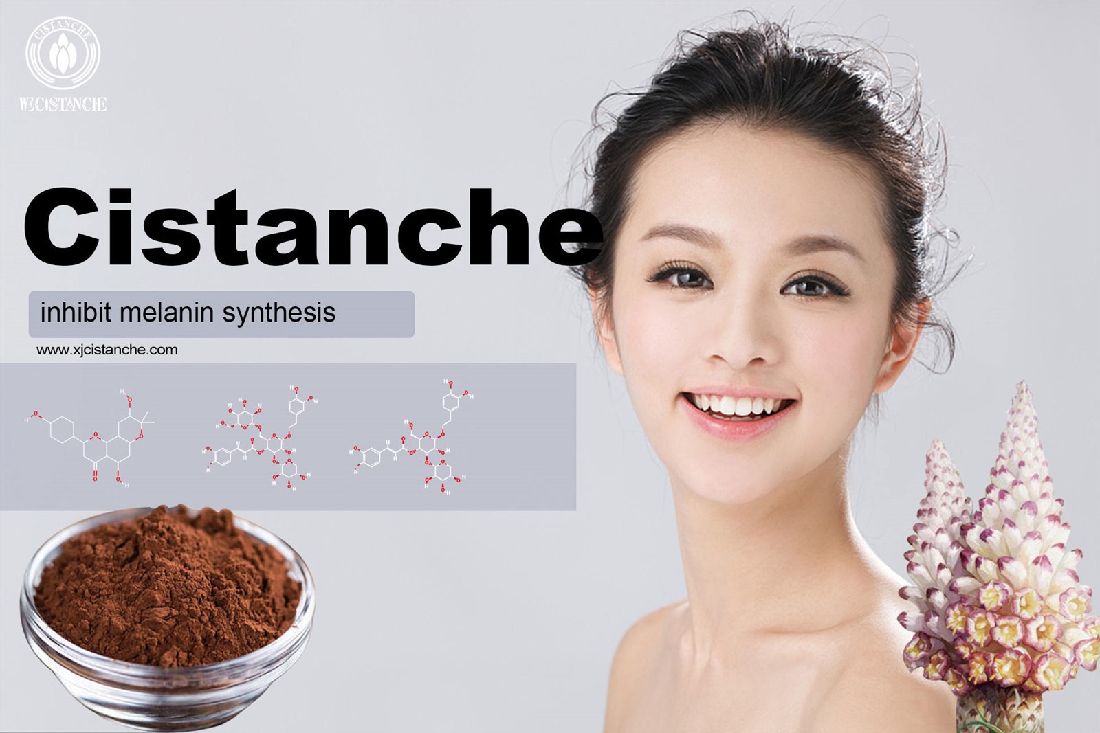 does cistanche work