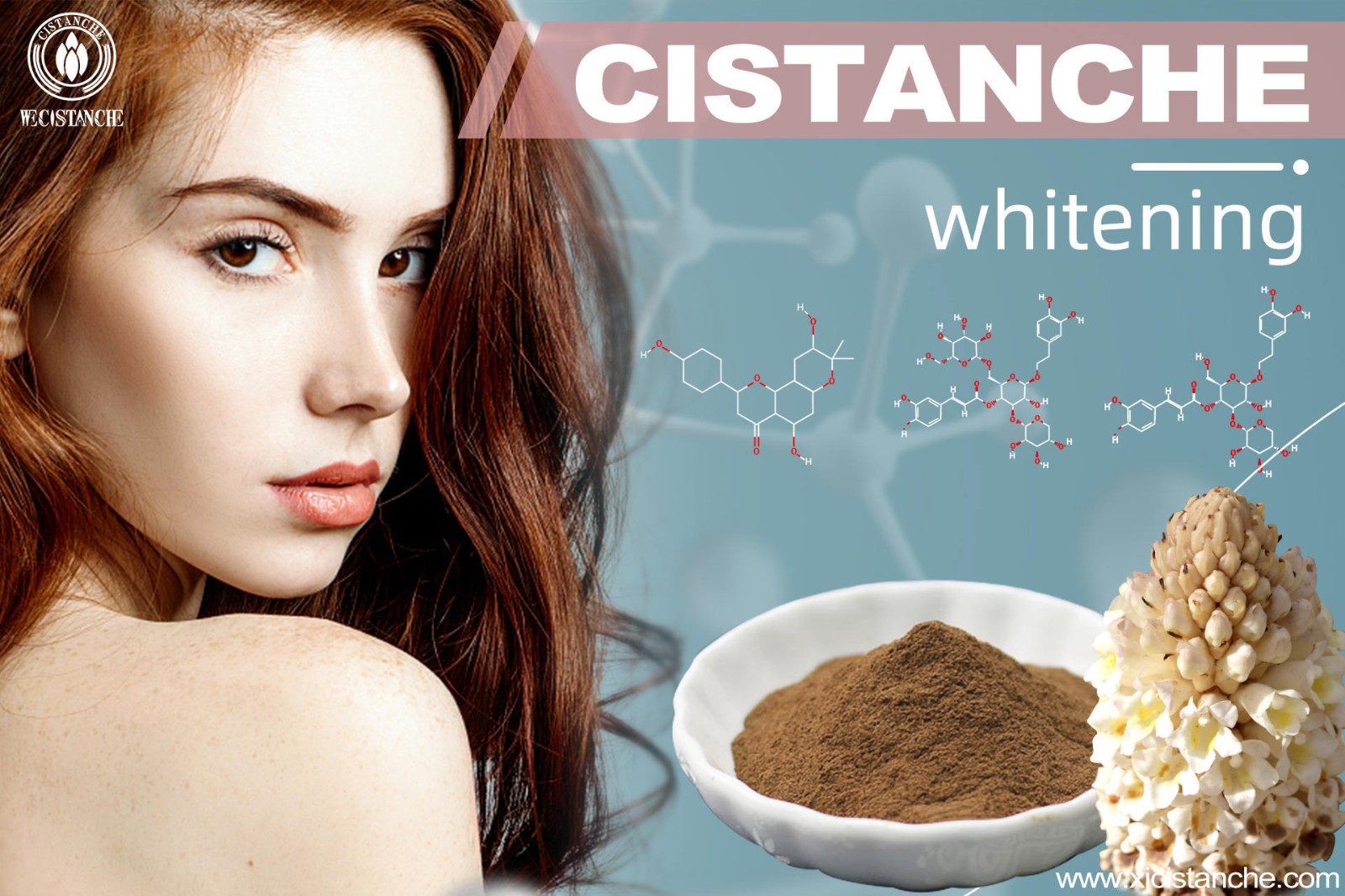 where can i buy cistanche