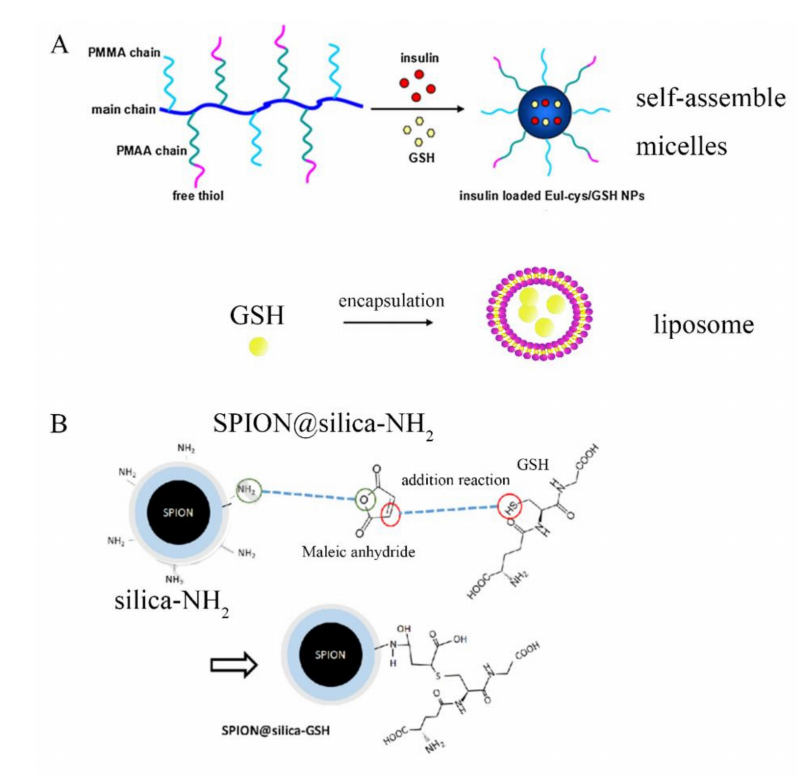 anti-oxidation cistanche