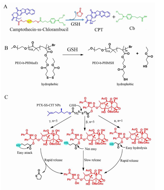 anti-oxidation cistanche research