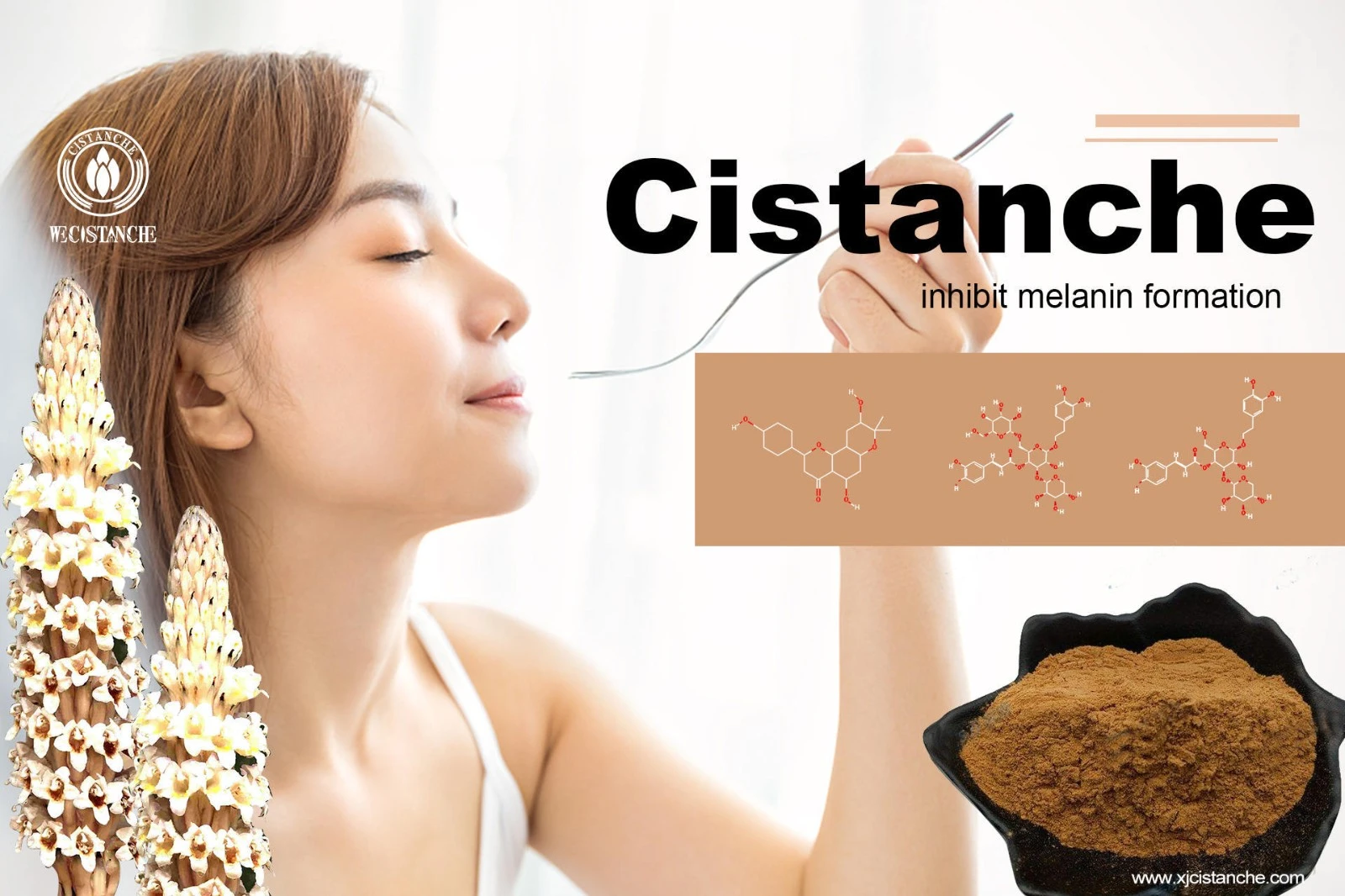 maca ginseng cistanche sea horse maca ginseng cistanche sea horse