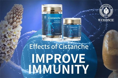 cistanche adalah cistanche adalah
