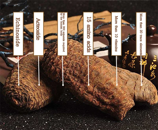 Main Chemical Constituents of Cistanche deserticola