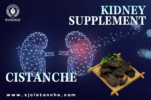 what is cistanche used for what is cistanche used for