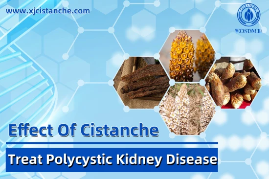BEST HERBS FOR CKD