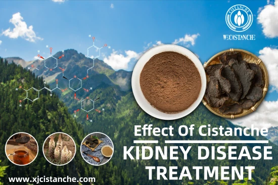 BEST HERBS FOR CKD