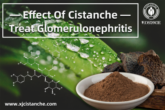 20% CISTANCHE TUBULOSA EXTRACT FOR KIDNEY