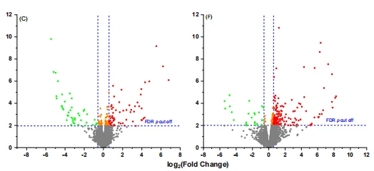 Figure 1. Volcano plots show the expression profiles in both the MP and PP cows receiving three different diets. (A) MP cows HC vs. LC, (B) MP cows HC vs. MC, (C) MP cows MC vs. LC, (D) PP HC vs. LC, (E) PP HC vs. MC and (F) PP MC vs. LC. HC: high concentrate (n = 6 in PP cows and n = 14 in MP cows), MC: medium concentrate (n = 5 in PP cows and n = 15 in MP cows), and LC: low concentrate (n = 6 in PP cows and n = 14 in MP cows). The fold changes were log2-transformed. The green dots indicate the downregulated genes with p (BH) < 0.05 and fold changes ≤ −1.5 and the red dots indicate upregulated genes with p (BH) < 0.05 and fold changes ≥ 1.5. The orange dots indicate the genes with p (BH) < 0.05 but absolute fold changes < 1.5.