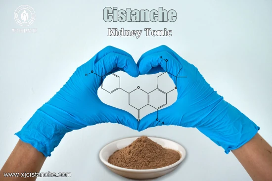 CISTANCHE  Benefits FOR KIDNEY DISEASE