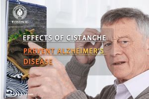 improve cognitive function improve cognitive function