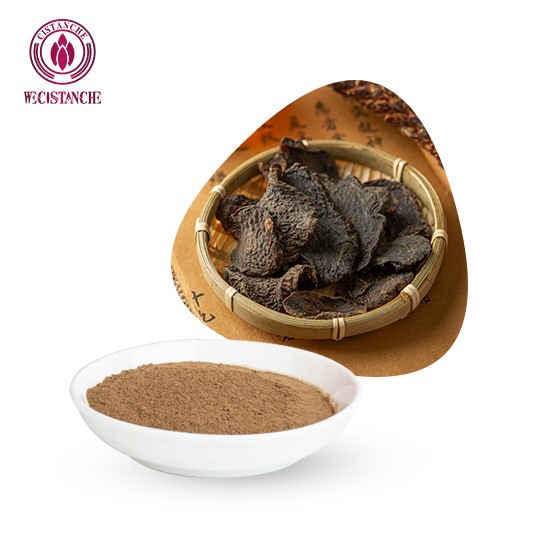 Cistanche Tubulosa Ergänzungen