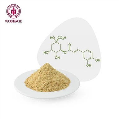 Chlorogensäure Gewichtsverlust