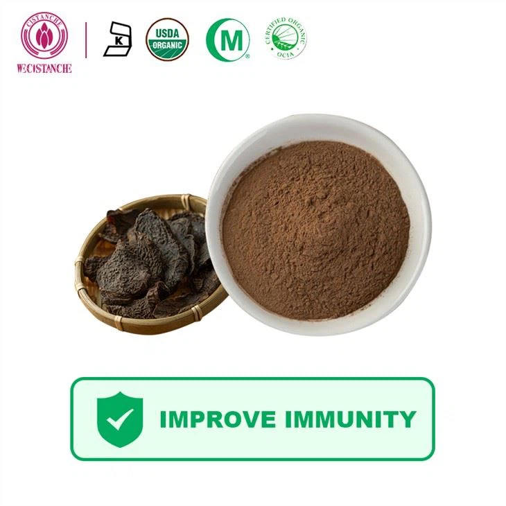 Cistanche-Extrakt verbessert die Immunität