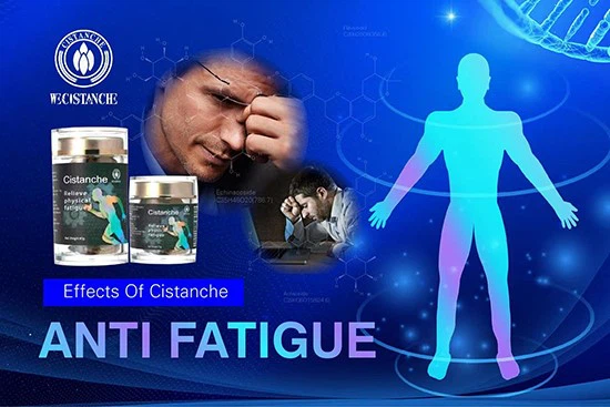 effects of cistanche-anti fatigue 7 effects of cistanche-anti fatigue 7