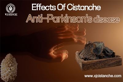 effect of cistanche effect of cistanche