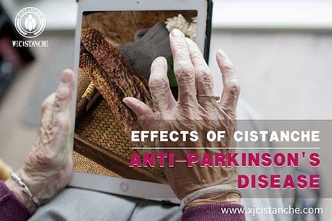 Prevent Parkinson 4 Prevent Parkinson 4